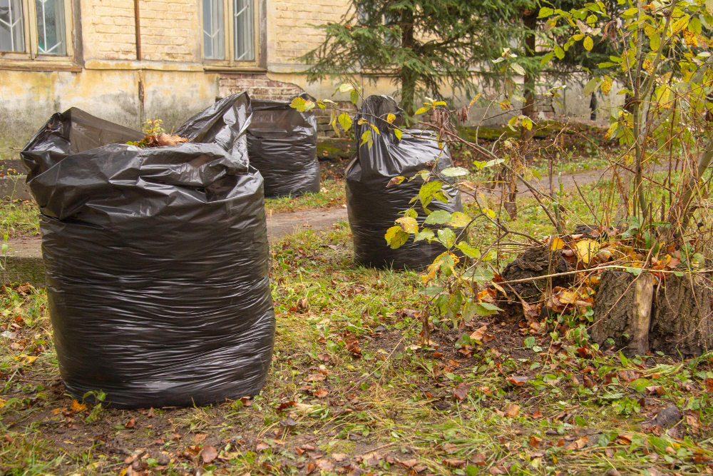 The Ultimate Guide on Removing Yard Waste