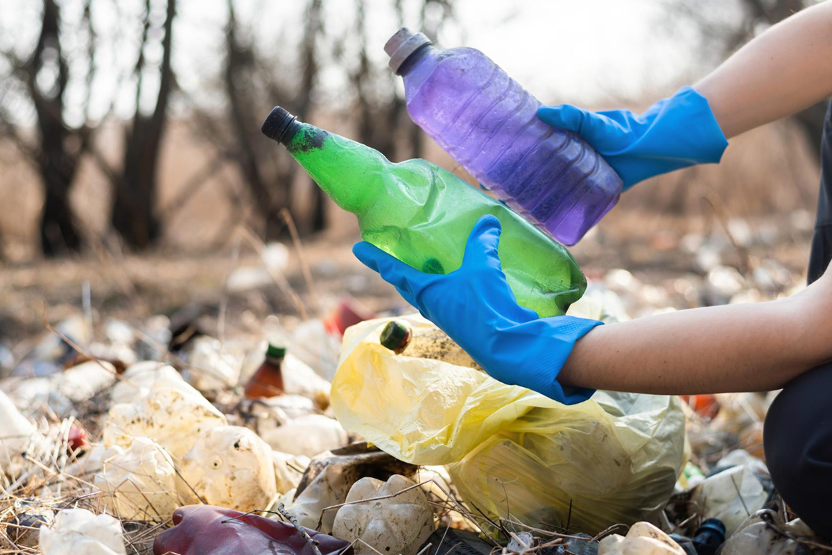 How To Conduct a Waste Audit