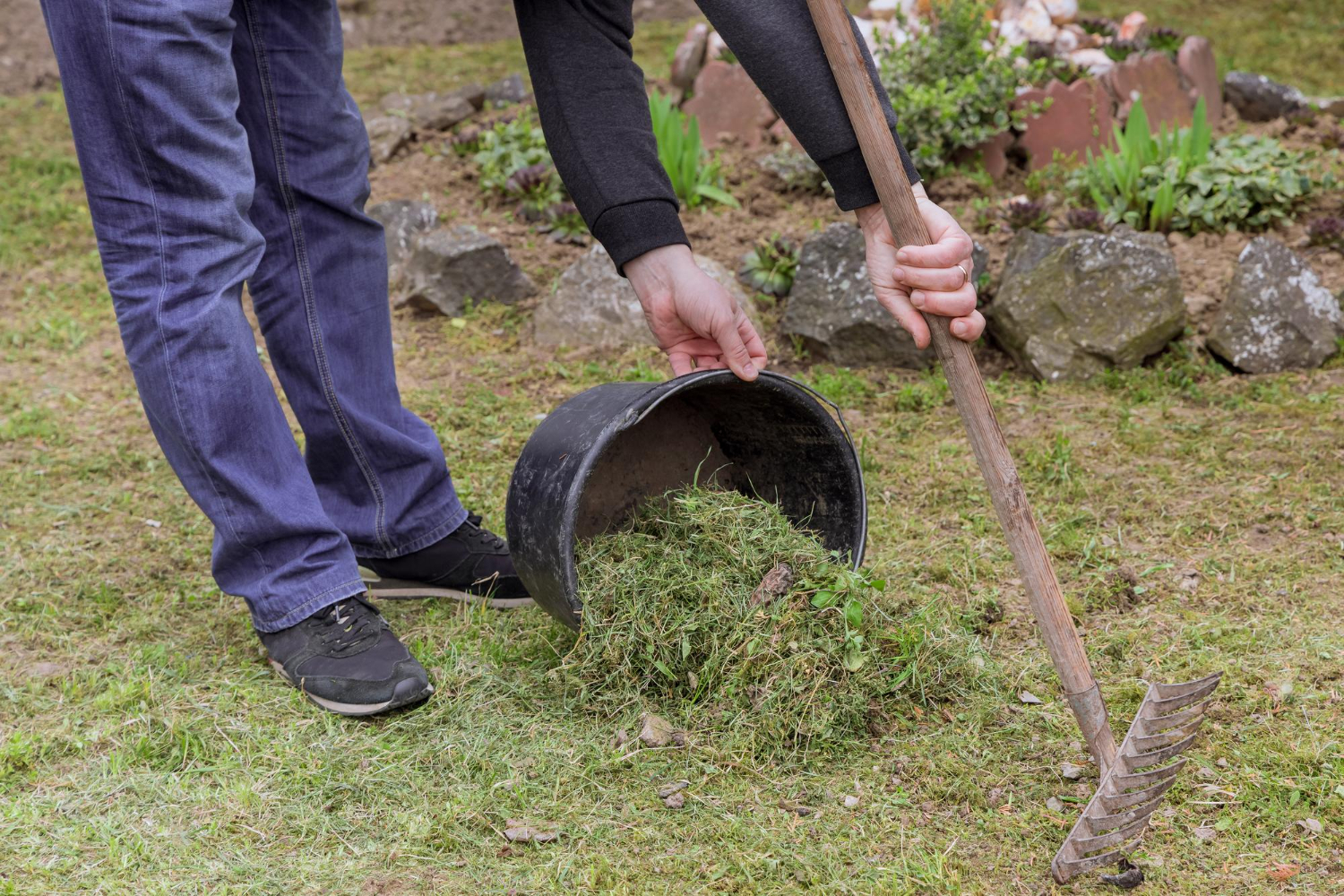 A Comprehensive Guide to Yard Waste Removal and Roll Off Container Rental